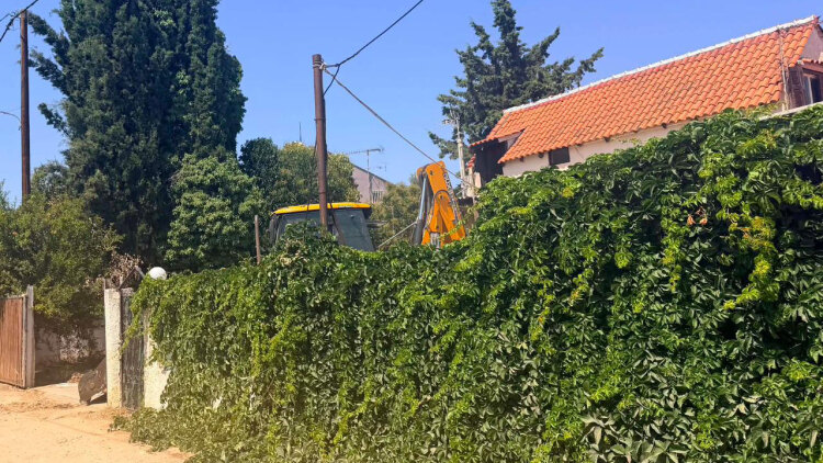 Εγώ δεν είχα δει τη γιαγιά, λέει γείτονας για την σορό που βρέθηκε σε αυλή σπιτιού στον Μαραθώνα
