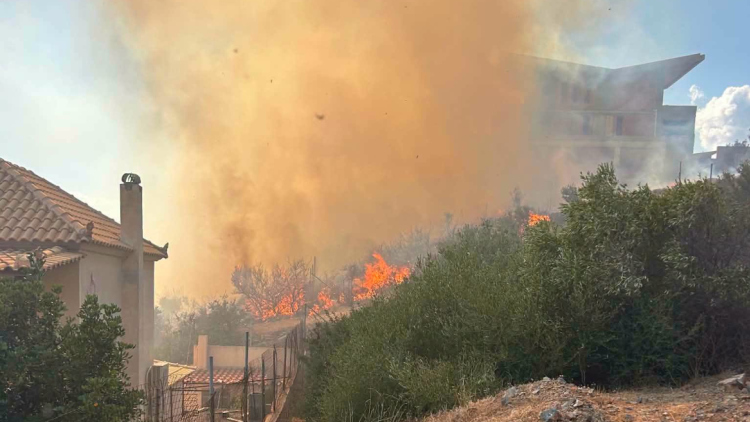 Φωτιά δίπλα σε σπίτια στην Ανάβυσσο Αττικής, επιχειρούν 4 εναέρια 