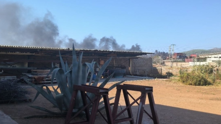 Φωτιά στην περιοχή Ξηροπήγαδο στη Μάνδρα: Εστάλη μήνυμα από το 112 για τους πυκνούς καπνούς