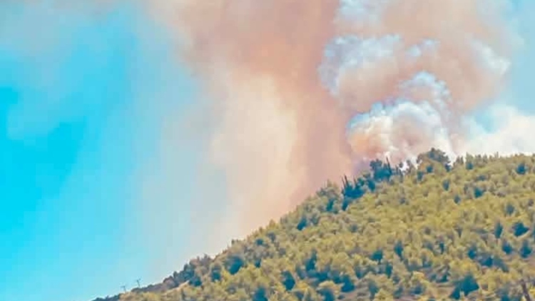 Φωτιά σε δασική έκταση στην Τανάγρα μετά την πτώση του Phantom στο Athens Flying Week, ήχησε το 112