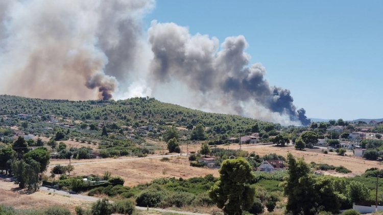Φωτιά σε δασική έκταση στην Τανάγρα μετά την πτώση του Phantom στο Athens Flying Week, ήχησε το 112