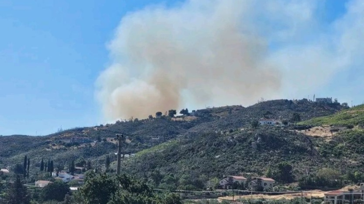 Φωτιά στις Αφίδνες, μεγάλη κινητοποίηση της Πυροσβεστικής