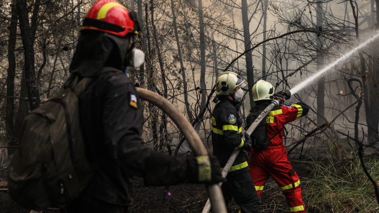 Χωρίς ενεργό μέτωπο η πυρκαγιά στη Μακρυκάπα Εύβοιας