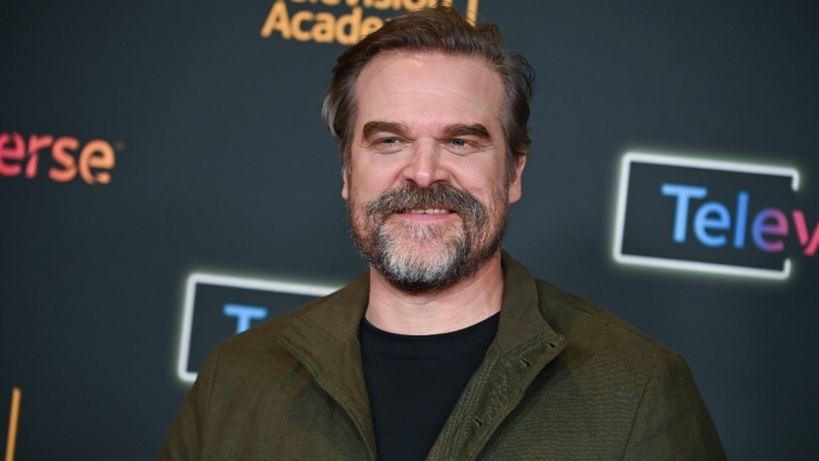 Ο Ντέιβιντ Χάρμπορ κέρδισε το πρώτο του Emmy για το «DTF St. Louis»
