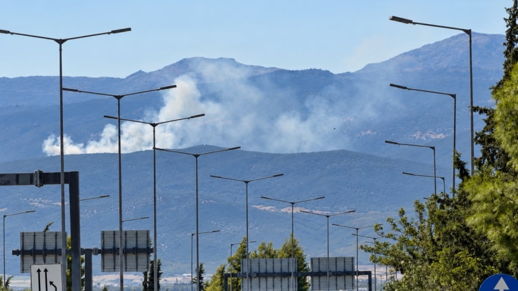 Φωτιά σε δασική έκταση στη Μαγνησία, επιχειρούν τέσσερα εναέρια μέσα