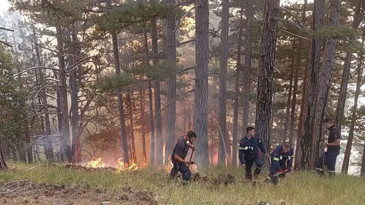 Η μάχη των δασοκομάντος με τις φλόγες στην Κόνιτσα, καλύτερη η εικόνα της πυρκαγιάς, δείτε βίντεο και φωτογραφίες