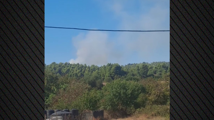 Φωτιά σε δάσος στην Ελάνη Κασσάνδρας Χαλκιδικής: 112 για ετοιμότητα, ενισχύθηκαν οι δυνάμεις της Πυροσβεστικής, βίντεο