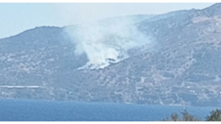 Φωτιά σε χαμηλή βλάστηση στους Πάλους Νισύρου, σηκώθηκαν και εναέρια μέσα