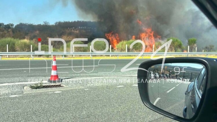 Φωτιά τώρα στο Στρυμωνικό Σερρών, σηκώθηκαν δύο εναέρια