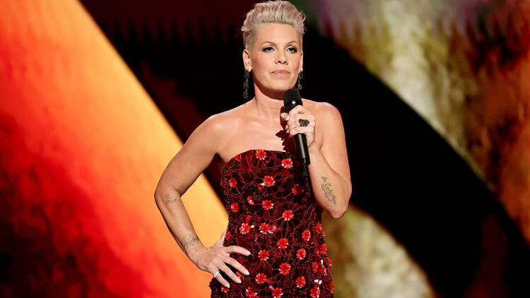 Pink: Συγκεντρώνονται υπογραφές για την απομάκρυνσή της από τη UNICEF - Ο Χαβιέ Μπαρδέμ στηρίζει την εκστρατεία