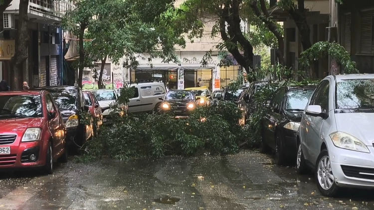Κακοκαιρία: Πτώση δέντρου και διακοπή της κυκλοφορίας στη συμβολή της Διδότου με τη Χαριλάου Τρικούπη