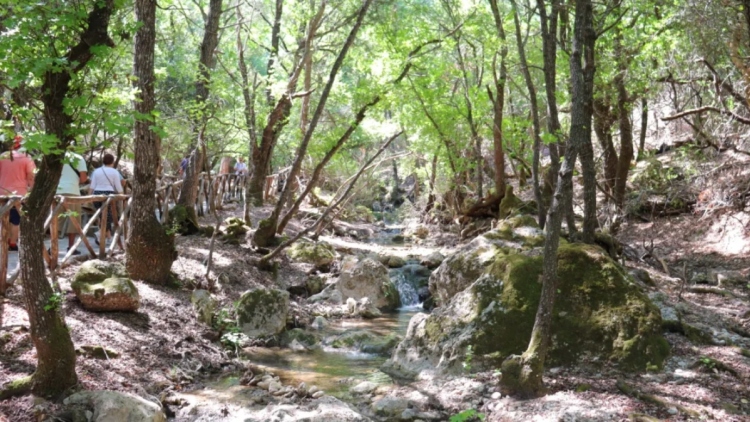 Έφυγαν εβδομάδες νωρίτερα οι πεταλούδες από την Κοιλάδα της Ρόδου: Τι προκάλεσε την πρόωρη μετανάστευσή τους
