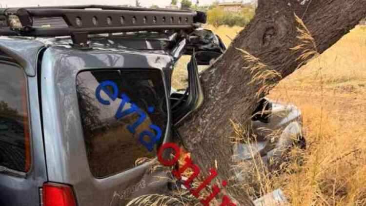 Διασωληνωμένος 35χρονος οδηγός μετά από τροχαίο στην Ερέτρια, το αυτοκίνητό του καρφώθηκε σε δέντρο