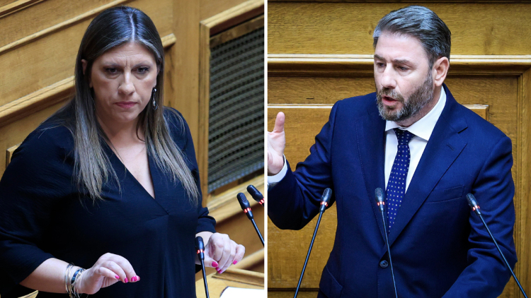 Τι κρύβεται πίσω από την επίθεση Κωνσταντοπούλου σε Ανδρουλάκη στη Βουλή λόγω... ΠΑΟ και την οξύτατη αντίδρασή του