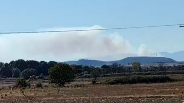 Φωτιά σε δάσος στο Σουφλί, πέρασε από τη Βουλγαρία 
