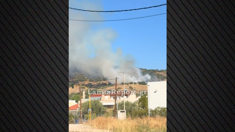 Φωτιά τώρα στη Λαμία: Επιχειρούν δύο αεροσκάφη και ένα ελικόπτερο