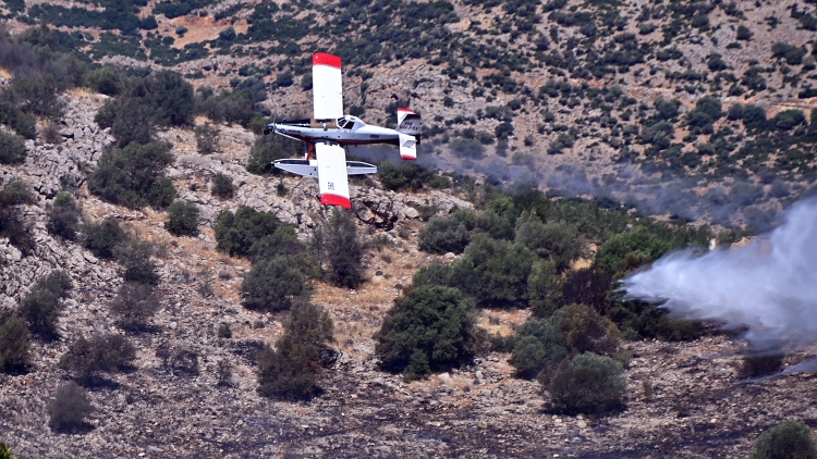 Φωτιά σε αγροτοδασική έκταση στη Βοσκίνα Κυνουρίας