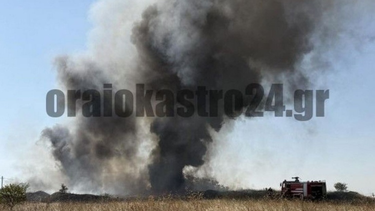 Φωτιά στη δυτική Θεσσαλονίκη με πυκνούς μαύρους καπνούς ορατούς από μεγάλη απόσταση