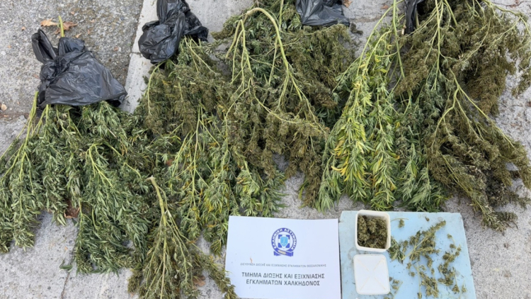 Συνελήφθη 63χρονος στη Θεσσαλονίκη για κατοχή κάνναβης βάρους άνω των 12 κιλών
