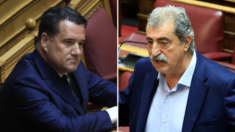 Κόντρα Γεωργιάδη - Πολάκη στη Βουλή: «Αυτός με το Χωριάτικο θα θελήσει να σας γνωρίσει» - «Να πάρεις λογιστή να σου κρατά βιβλία»