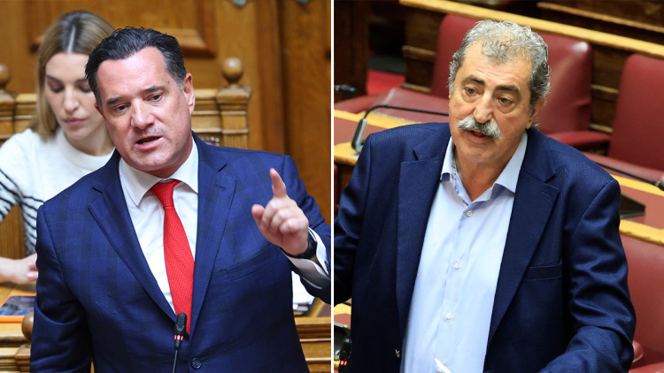 Κόντρα Άδωνι - Πολάκη: «Σταμάτα τη συκοφαντία, κατσαπλιά», «Ανέκδοτο να με λες αμόρφωτο εσύ»