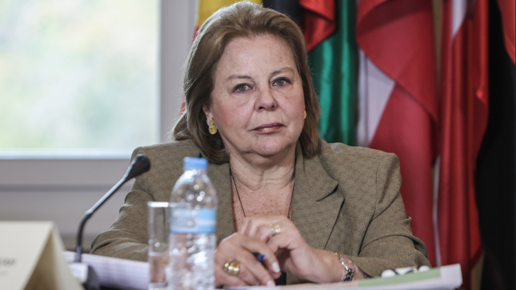 Η Λούκα Κατσέλη ερμηνεύει το νόμο Κατσέλη και την απόφαση της Ολομέλειας του Αρείου Πάγου για τον εκτοκισμό των δόσεων