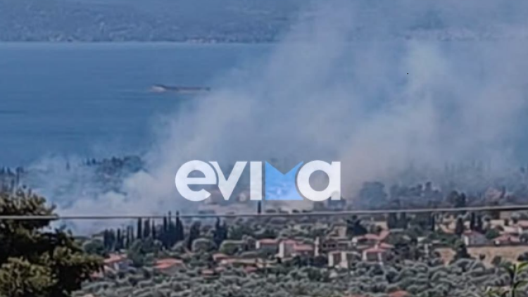 Φωτιά τώρα στην Ερέτρια, καίει κοντά σε σπίτια - Εστάλη και μήνυμα 112