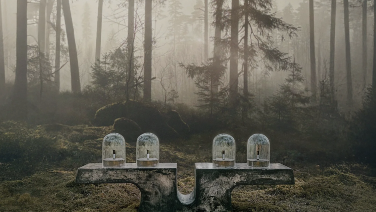 Μια αισθητηριακή εμπειρία σε δάσος της Σουηδίας επαναπροσδιορίζει την έννοια της κατανάλωσης
