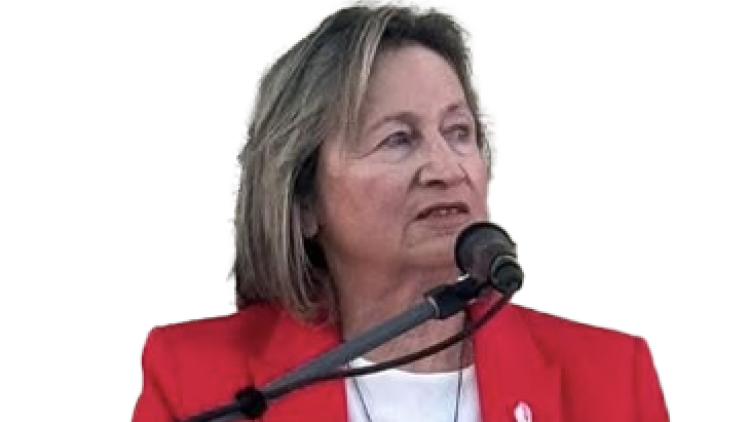 Βαγγελιώ Σχοιναράκη