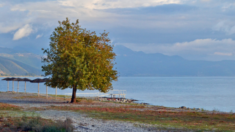 Πώς ένα μικροσκοπικό σαλιγκάρι συνδέει την εξελικτική ιστορία Τριχωνίδας και Οχρίδας που βρίσκονται 200 χλμ. μακριά η μια από την άλλη