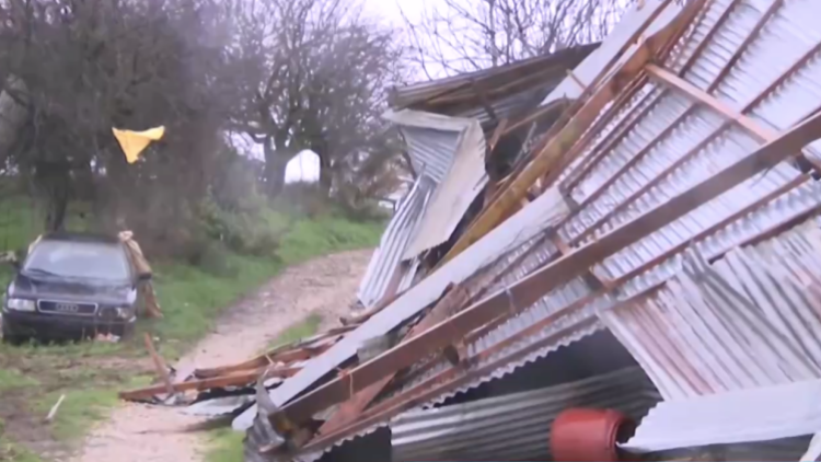 Κατέρρευσε στάβλος στην Ηλεία από ανεμοστρόβιλο, χάθηκαν δεκάδες ζώα
