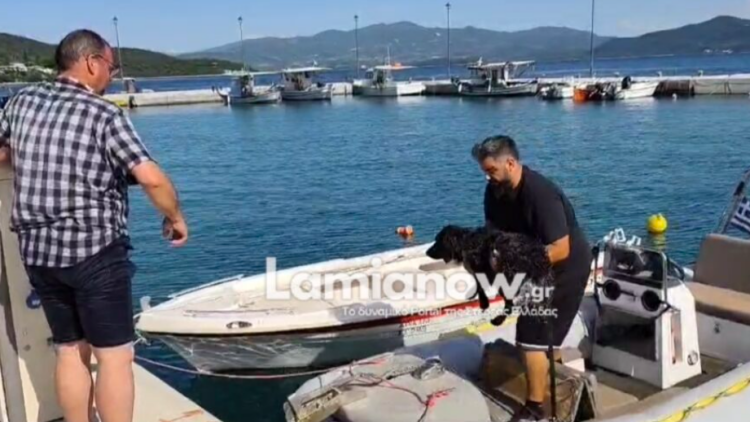 Βίντεο: Στα ανοιχτά της Γλύφας κατέληξε σκύλος, τον έσωσαν με σκάφος