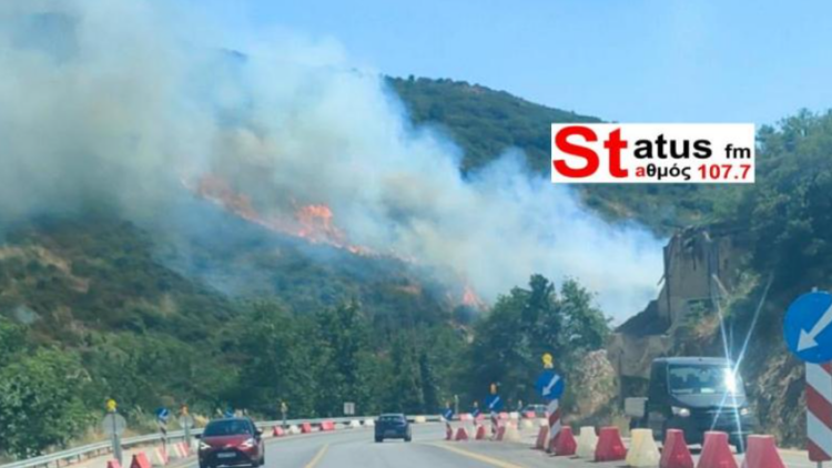 Φωτιά τώρα στα Πεύκα Θεσσαλονίκης, επιχειρούν και εναέρια