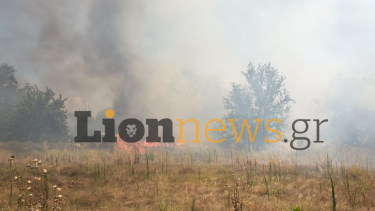 Φωτιά τώρα στην Οινούσσα Σερρών, 112 για εκκένωση του οικισμού