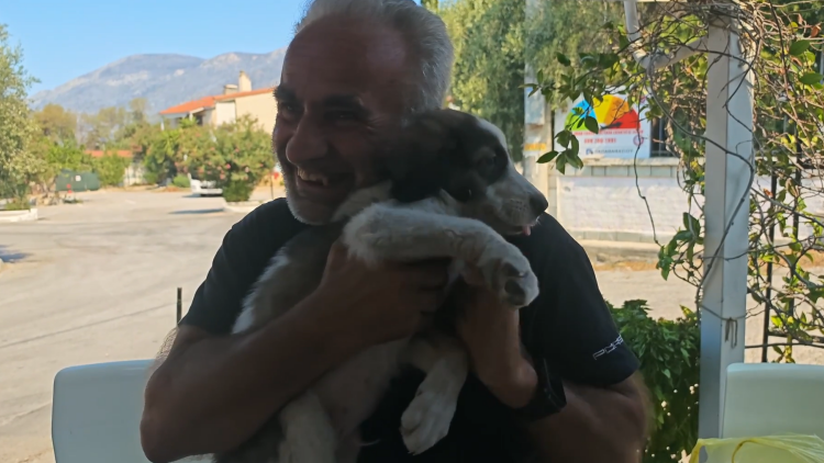 Ο Μπρούνο το κουτάβι που σώθηκε από τις φλόγες στο Πόρτο Γερμανό: Χτυπά ακόμα γρήγορα η καρδιά του, δείτε βίντεο
