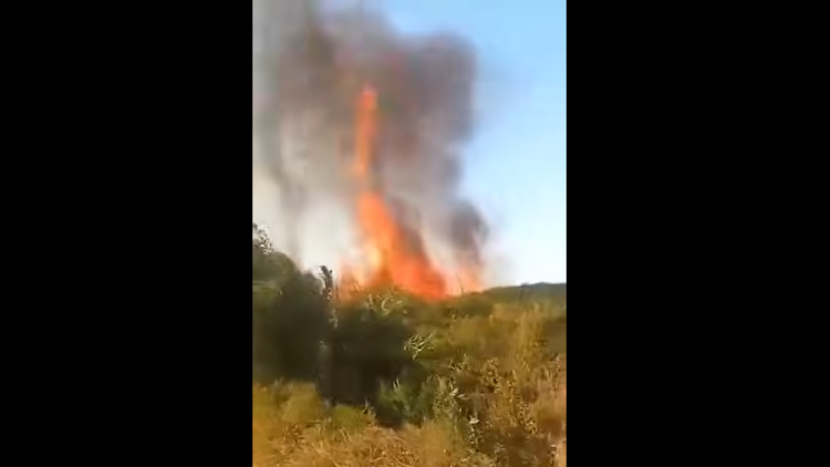 Φωτιά τώρα στην Βάρδα Ηλείας, επιχειρεί η Πυροσβεστική