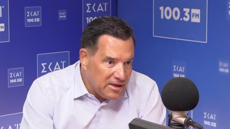 Γεωργιάδης για Τσούτσια: Αν αυτός θα είναι ο spokesman, δεν τα βλέπω καλά για τον πρόεδρο Σαμαρά 