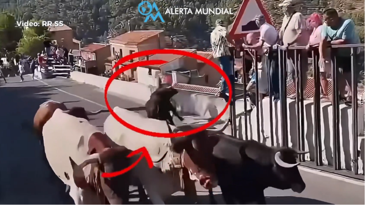 Ταύρος σκότωσε 64χρονη σε φεστιβάλ στην Ισπανία, βίντεο από την στιγμή της επίθεσης