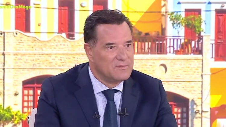 Γεωργιάδης: Υπάρχει κρατική ευθύνη για τον θάνατο Μαζωνάκη, δεν θα ήμουν αντίθετος με την επανίδρυση του Σώματος Επιθεωρητών Υγείας