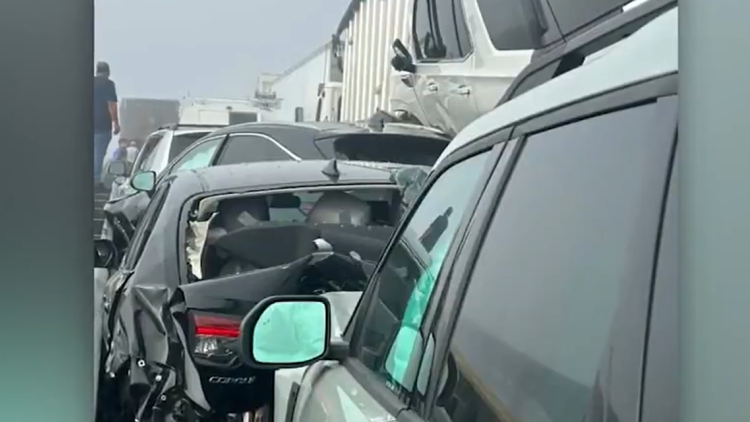 Καραμπόλα με πάνω από 50 οχήματα λόγω ομίχλης σε γέφυρα στη Νότια Καρολίνα, δείτε βίντεο