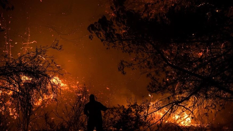 Εφιαλτική νύχτα στο Λιβαδάκι Ηλείας – Ανεξέλεγκτη μαίνεται η δασική πυρκαγιά, εκκενώθηκε το χωριό