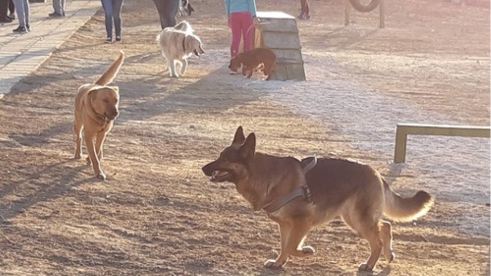 Κρήτη: Το πρώτο πάρκο για σκύλους εγκαινιάστηκε στο Ηράκλειο Dog_park