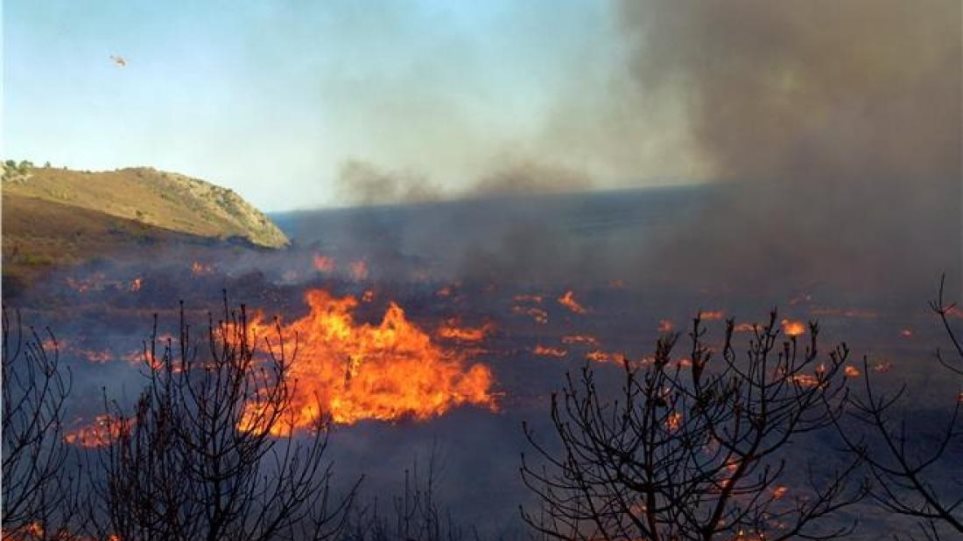 Μυτιλήνη: Έσβησε η φωτιά που ξέσπασε το απόγευμα κοντά στην Αγιάσο