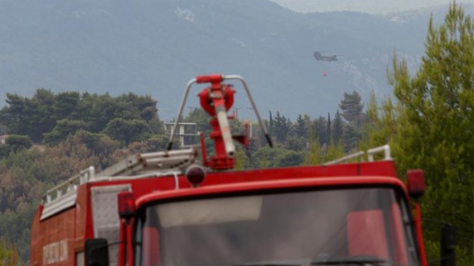 Θεσσαλονίκη: Υπό έλεγχο η φωτιά στην Αγία Τριάδα Pirosvestiki_fotia