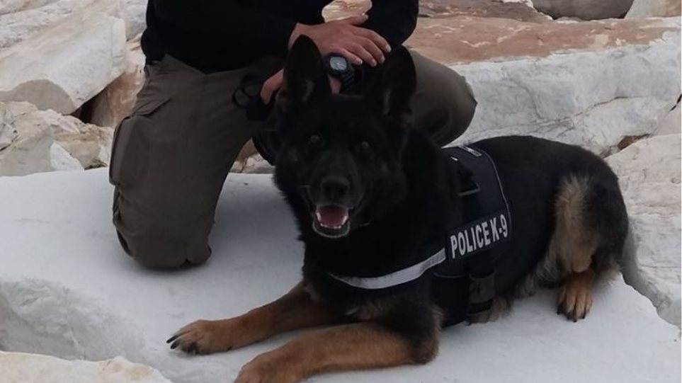 Το συγκινητικό αντίο της ΕΛΑΣ στον αστυνομικό σκύλο «Τζάκι» Tzak-elas1