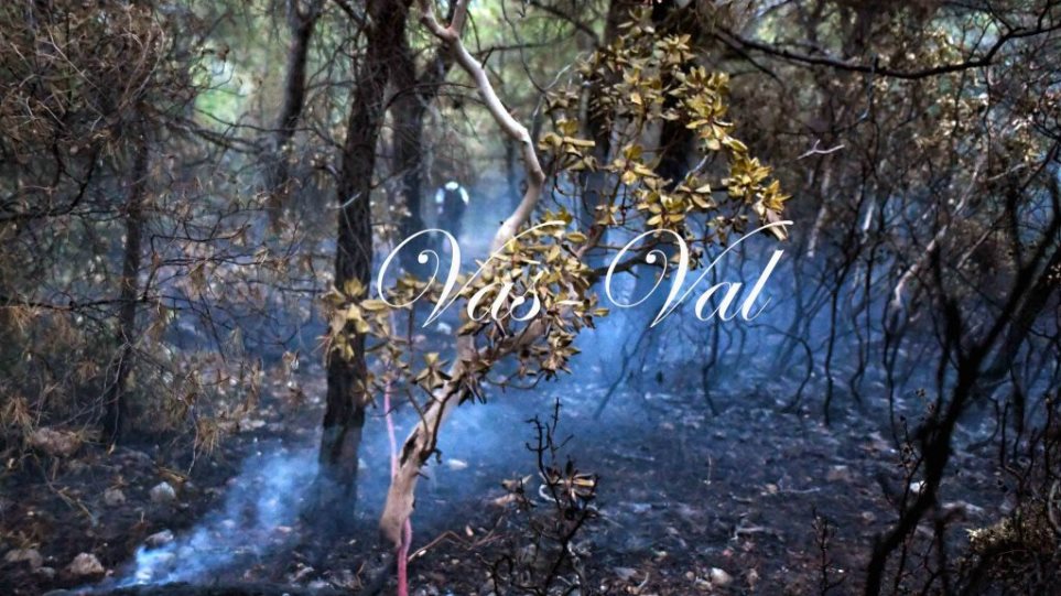 Βίντεο και φωτογραφίες από την μεγάλη πυρκαγιά στους Άγιους Θεόδωρους AgioiTHeod