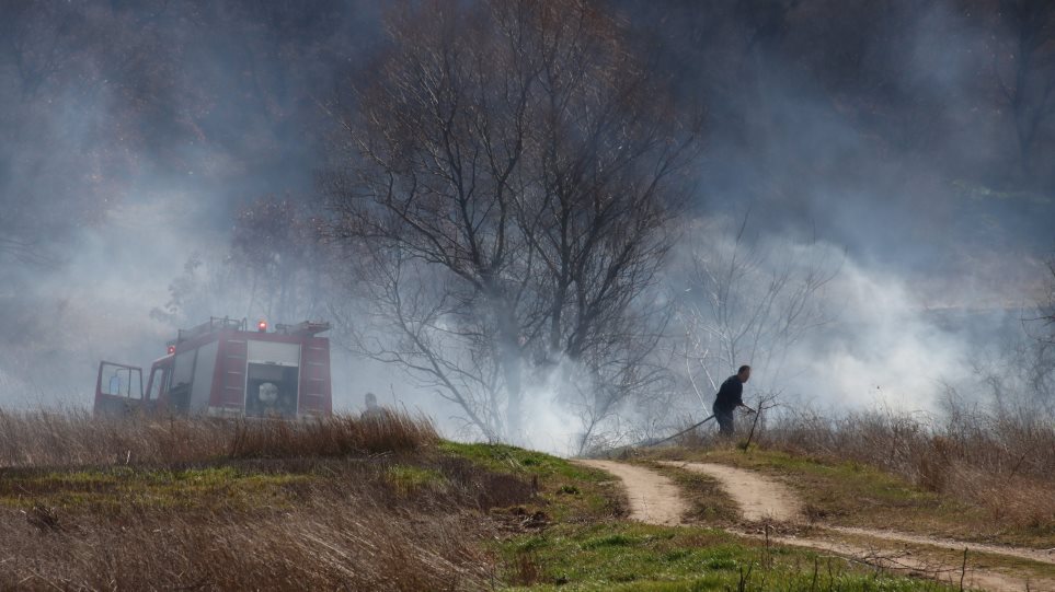 Αποτέλεσμα εικόνας για δασική έκταση στο χωριό Στέρνα