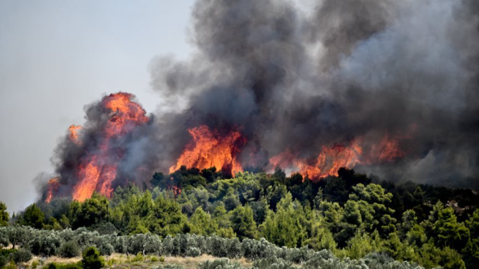 Καιρός: Υψηλός ο κίνδυνος δασικών πυρκαγιών σήμερα στην ανατολική Αττική -  Δείτε χάρτη του meteo