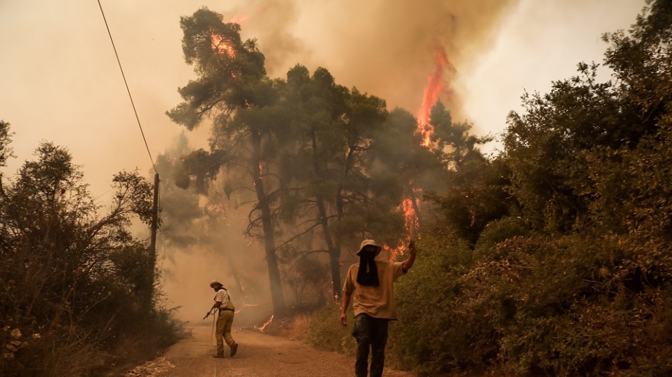 Επίτροπος Διαχείρισης Κρίσεων: Η Ε.Ε. έστειλε στην Ελλάδα εννέα  πυροσβεστικά αεροπλάνα, 700 διασώστες και 100 οχήματα