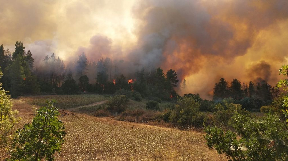 Υπό μερικό έλεγχο η φωτιά στην περιοχή Δρυάλια Λακωνίας